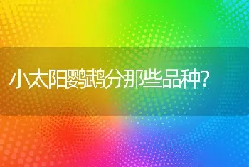 鸟类的叫声有哪些？