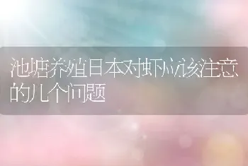 池塘养殖日本对虾应该注意的几个问题