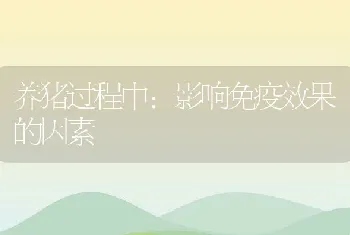 鹧鸪奇异变形杆菌与大肠杆菌的混合感染