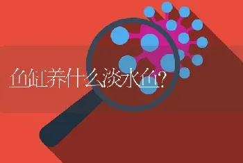 鱼缸养什么淡水鱼？