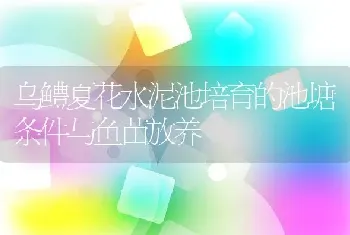 乌鳢夏花水泥池培育的池塘条件与鱼苗放养