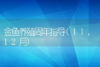 金鱼养殖周年指导(11,12月)