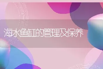 海水鱼缸的管理及保养