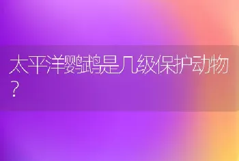 两只纯蓝色的英短，生出来一窝白猫是怎么回事？