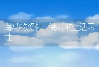 海马的资料 海马的生活习性