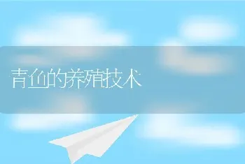 青鱼的养殖技术