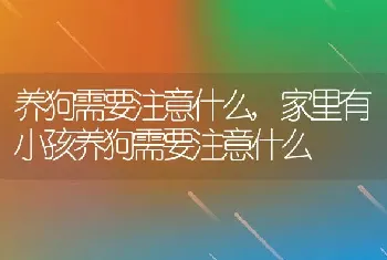 养狗需要注意什么，家里有小孩养狗需要注意什么