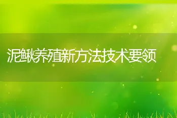 泥鳅养殖新方法技术要领