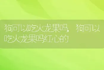 狗可以吃火龙果吗，狗可以吃火龙果吗红心的