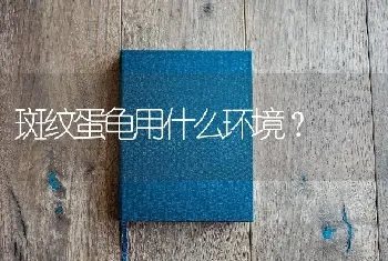 斑纹蛋龟用什么环境？