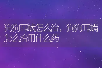 狗狗耳螨怎么治，狗狗耳螨怎么治用什么药