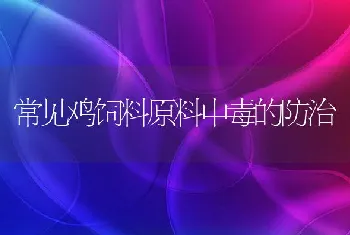 常见鸡饲料原料中毒的防治