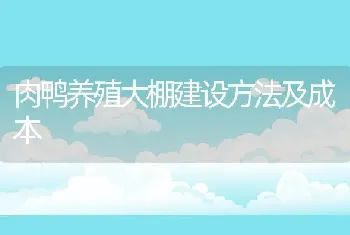 肉鸭养殖大棚建设方法及成本