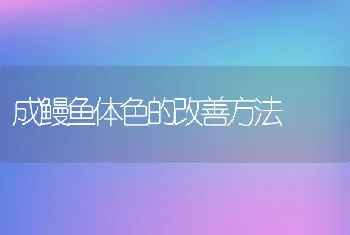 成鳗鱼体色的改善方法