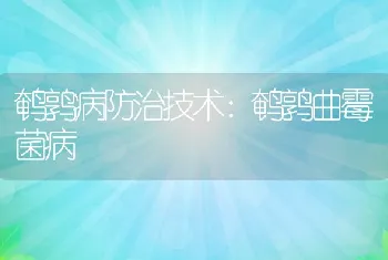 鹌鹑病防治技术：鹌鹑曲霉菌病