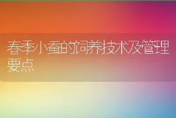 春季小蚕的饲养技术及管理要点