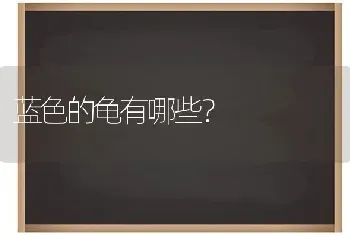 蓝色的龟有哪些？