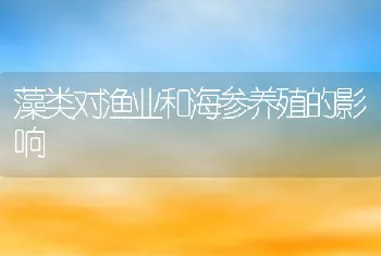 藻类对渔业和海参养殖的影响