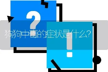 狗狗中毒的症状是什么？