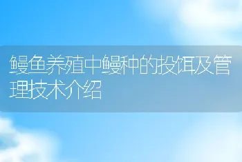 鳗鱼养殖中鳗种的投饵及管理技术介绍