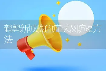 鹌鹑新城疫的症状及防疫方法