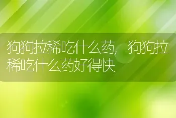 狗狗拉稀吃什么药，狗狗拉稀吃什么药好得快