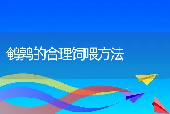 鹌鹑的合理饲喂方法