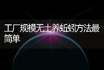 工厂规模无土养蚯蚓方法最简单