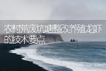 农村荒废坑塘整改养殖龙虾的技术要点