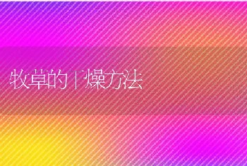 当前禽病流行的5个特点