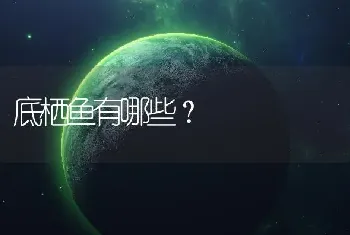 底栖鱼有哪些？