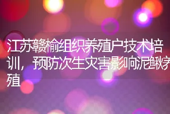 江苏赣榆组织养殖户技术培训，预防次生灾害影响泥鳅养殖