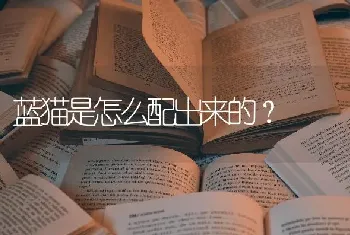 蓝猫是怎么配出来的？