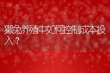 獭兔养殖中如何控制成本投入？