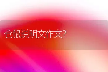 仓鼠说明文作文？