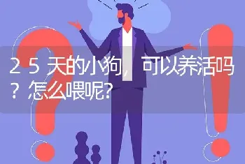 25天的小狗，可以养活吗？怎么喂呢？