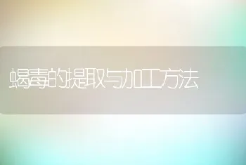 蝎毒的提取与加工方法