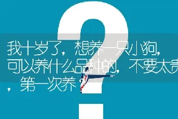 我十岁了，想养一只小狗，可以养什么品种的，不要太贵，第一次养？