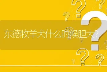 东德牧羊犬什么时候胆大？