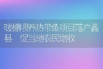 暖棚喂养热带鱼项目落户蠡县 促当地农民增收