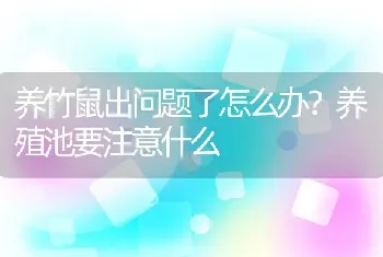 养竹鼠出问题了怎么办？养殖池要注意什么