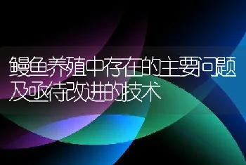 鳗鱼养殖中存在的主要问题及亟待改进的技术