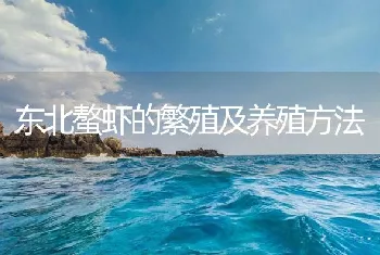 东北螯虾的繁殖及养殖方法