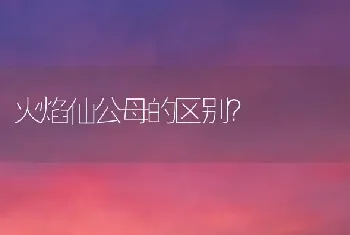 火焰仙公母的区别？