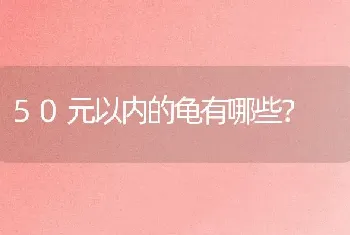 比熊皮肤颜色对照表？