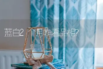 蓝白2个月咋看品相？