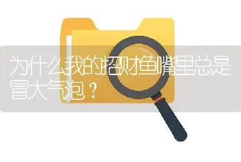 为什么我的招财鱼嘴里总是冒大气泡？