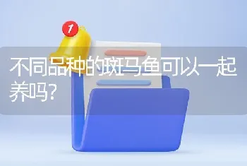 不同品种的斑马鱼可以一起养吗？