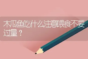 木瓜鱼吃什么注意喂食不要过量？