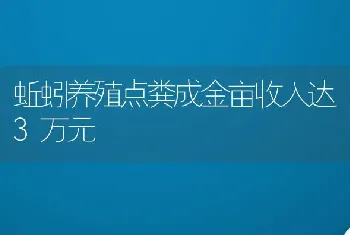 蚯蚓养殖点粪成金亩收入达3万元